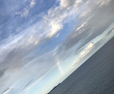 浜松市！美味しいご飯屋さんをお教えいたします イメージ1