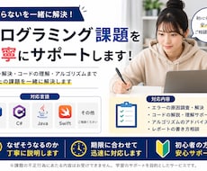 プログラミング課題を丁寧にサポートしますます イメージ1