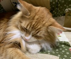 ご希望に沿った動画編集をします イメージ1