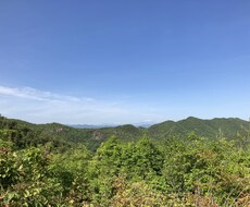 ワンコインカウンセリングします イメージ1