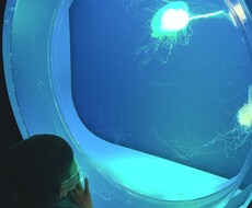 離婚を考えているアナタにサポートします イメージ1