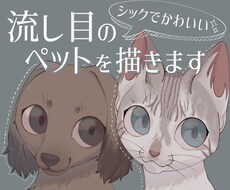 あなたのペットのイラスト描きます イメージ1