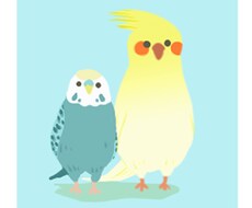 シンプルで可愛いデザインの鳥描きます 鳥のイラスト探しても良いのが見つからない人におすすめ！