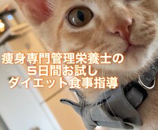お試し！5日集中ダイエットの栄養指導をいたします イメージ1