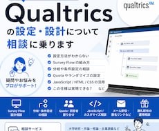 Qualtricsの疑問・設定方法を相談できます Qualtricsの「これどうやる？」を解決します
