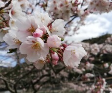 話を聴いて欲しい方の何でも聴き屋さんになります イメージ1