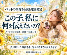 ペットの気持ちと仕草の理由を霊視でお伝えします 今いる子も旅立った子も、受け取った想いを丁寧にお伝えします