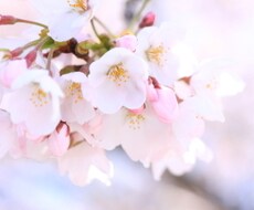 霊感リーディング致します ちょっとしたお悩みにお困りなあなたへ
