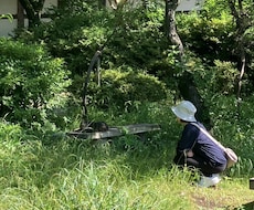 1日30分！ストレッチレッスンします 1日のスタートや隙間時間に、身体を解しましょう！