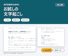 お試し価格で音声20分を文字起こしします イメージ1