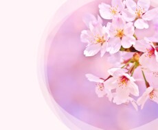 JCDA実技試験(論述)をサポートします キャリアカウンセリング講師が論述試験のアドバイスをします