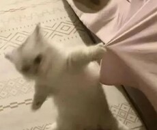 沢山お話します イメージ1