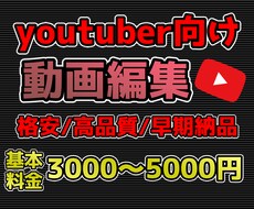 激安！高品質！動画の編集代行します イメージ1