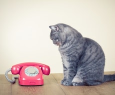 仕事のお話し、愚痴を聞きます イメージ1