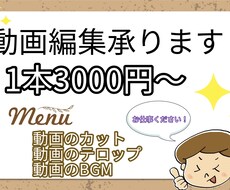 広告動画や10分程度の動画編集を代行します イメージ1