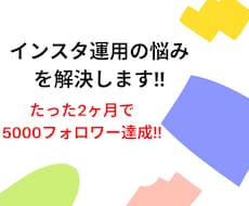 インスタ運用悩みを解決致します イメージ1