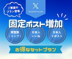 X【固定ポスト増加SET】で見栄えを良くさせます ⭐️インプ1万・いいね50・リポスト30セット（日本人）