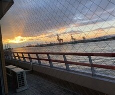 恋愛、家族、人生の悩みお聞きします イメージ1