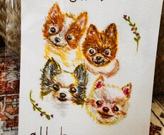 優しい彩りの色鉛筆で似顔絵描きます