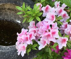 お子様のネットトラブル解決します イメージ1