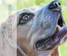 あなたの思い出を御描きします イメージ1