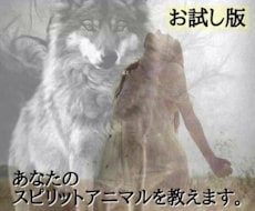 あなたの守護動物を教えます ガーディアンアニマルリーディング　お試し版
