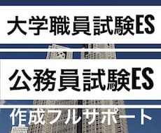 0から完成●合格多数公務員試験大学職員ES届けます 最短1日●大学職員試験•公務員•企業の志望動機自己PR等完成