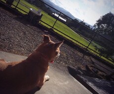 あなたの思い出の写真をより良いものにします イメージ1