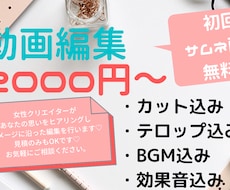 YouTubeなどの各種動画編集承ります イメージ1