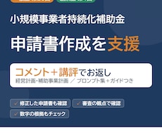 小規模事業者持続化補助金の計画を添削します 経営計画・補助事業計画を添削。AIプロンプト、申請ガイドつき