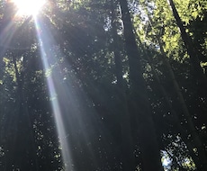 日頃のお悩みや愚痴など何でも聞きます 些細な悩みでも、とにかく自分の話を聞いてほしい方へ