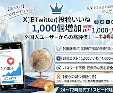 X|外国人フォロワーからのいいね＋1000します イメージ1