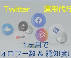 twitter運用の効率化を図ります プログラミング知識不要！丸投げOK