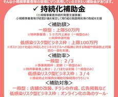 持続化補助金の事業計画の作成が簡単にできます 持続化補助金の他、様々な補助金の事業計画書が作成できます！