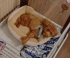 体の不調や変化のご相談に乗ります イメージ1