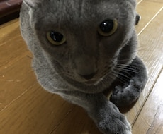 貴方様の恋愛特化占いさせていただきます イメージ1