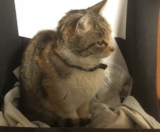 あなたの悩み、愚痴など聞きます イメージ1