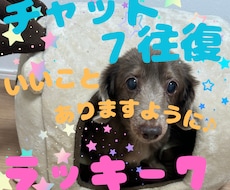 少し変わったチャットしませんか✨☘あなたに任せます イメージ1