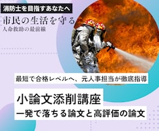 元人事担当が論文・小論文を丁寧に添削します イメージ1