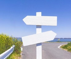 どちらの道が最善かな？二者択一タロット占い致します それぞれの道に進んだ未来24h以内、優しく寄り添い回答します