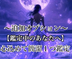 追加オプションます