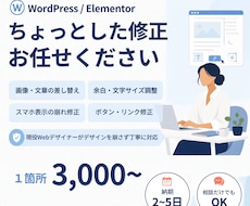 WordPress・Elementorの修正します イメージ1