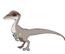 動物の特徴を活かしたクリーチャー描きます イメージ1