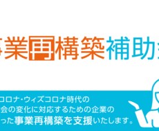 事業再構築補助金の事業計画書添削(3回)します イメージ1