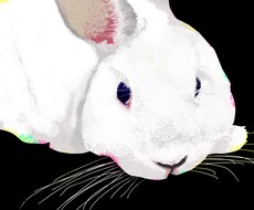 オシャレ★リアル【動物・ペットの似顔絵】描きます 可愛いペットを★オシャレ★なイラストに!!