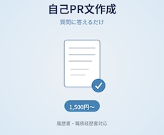 500円*めんどくさい自己PR文作成します イメージ1