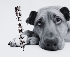 盲目の大学教員占い師があなたの疲れをすぐに癒します イメージ1
