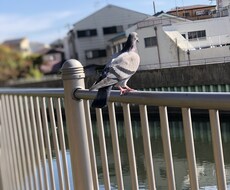 人間関係、恋愛などいま悩みがある人受け付けてます イメージ1