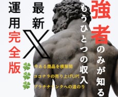 最新X運用でもう1つの収入源作り教えます 10名様限定モニター価格実施中⭐️安定収入の柱を得る戦略