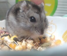 なんでも気軽に話します イメージ1